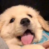 我的头像很可爱
