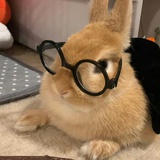 明