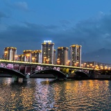 雨林林