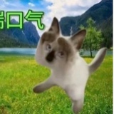 小猴要努力变强