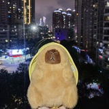 郑座的精神世界