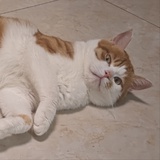 Markira୧⍤⃝🍓