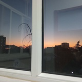 小灿烂
