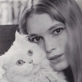 不想吃我的草稿