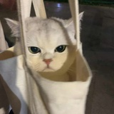 起司脆薯卷