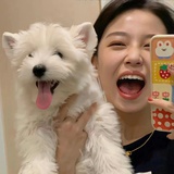 猪儿虫虫