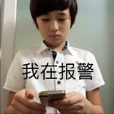 布袋熊