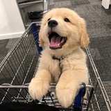 愉快犯