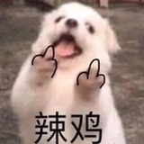黄磊