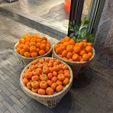 北方向北