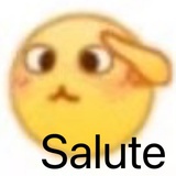 已登录