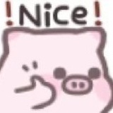 叶舒华（在努力