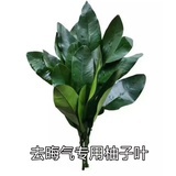 嫑妄想得不到的