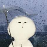 给豆豆买小车