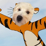 袁小班