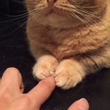 我不是苦味的