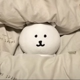 蓝花楹