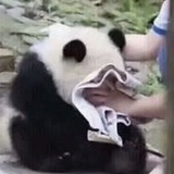 夜