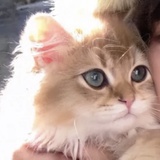 o.O