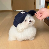 你帽子有点好摘