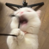 WOWO