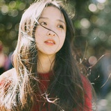 可乐鸡翅