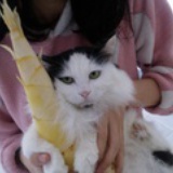李大刚