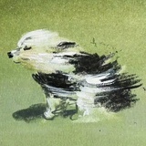 潦草小狗