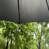 雨伞下沉