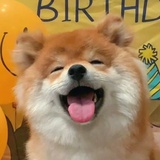 鲷鱼烧冰激凌