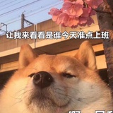蓝色棱镜