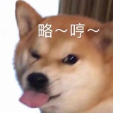 小猪包收藏家