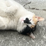 我爱学习