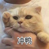 不会玩豆瓣