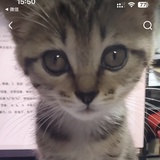 吃葡萄不吐皮