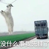 黑化肥发灰