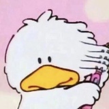 西瓜不吐籽