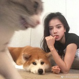 翻斗花园图胡胡