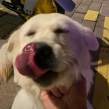 好运