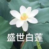 酒米