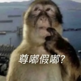 批发橘子专业户