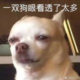 反腐大师