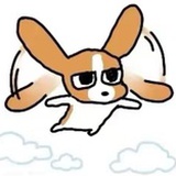 钱不晚