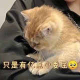 加油，追梦人！