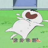pppppl