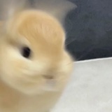 辞暮