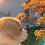 李帝努力学习🆙