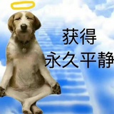 道年