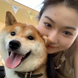 怎么办怎么办