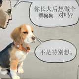 狗中king